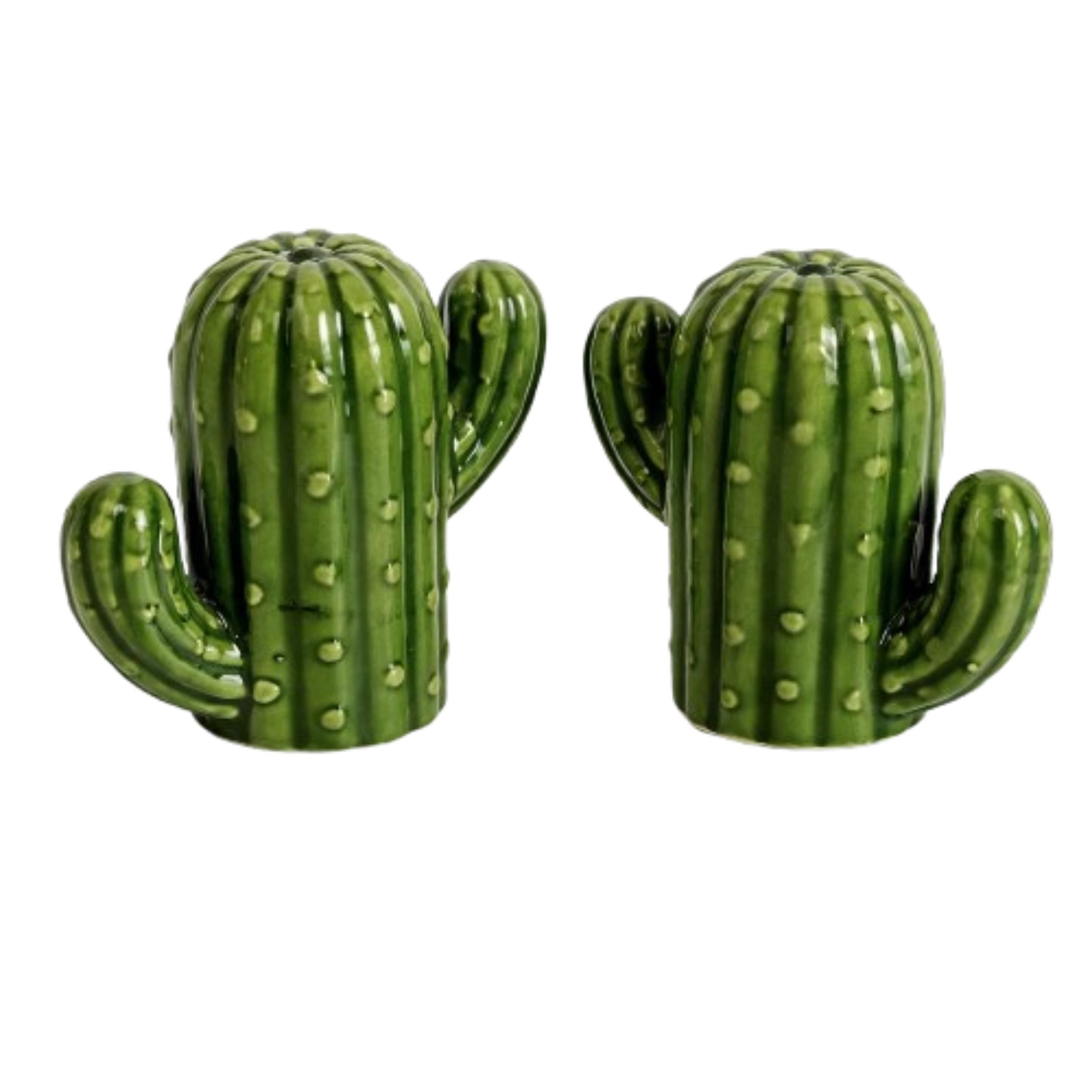 Home Collection Ceramic Cactus Salt & Pepper Shaker Set