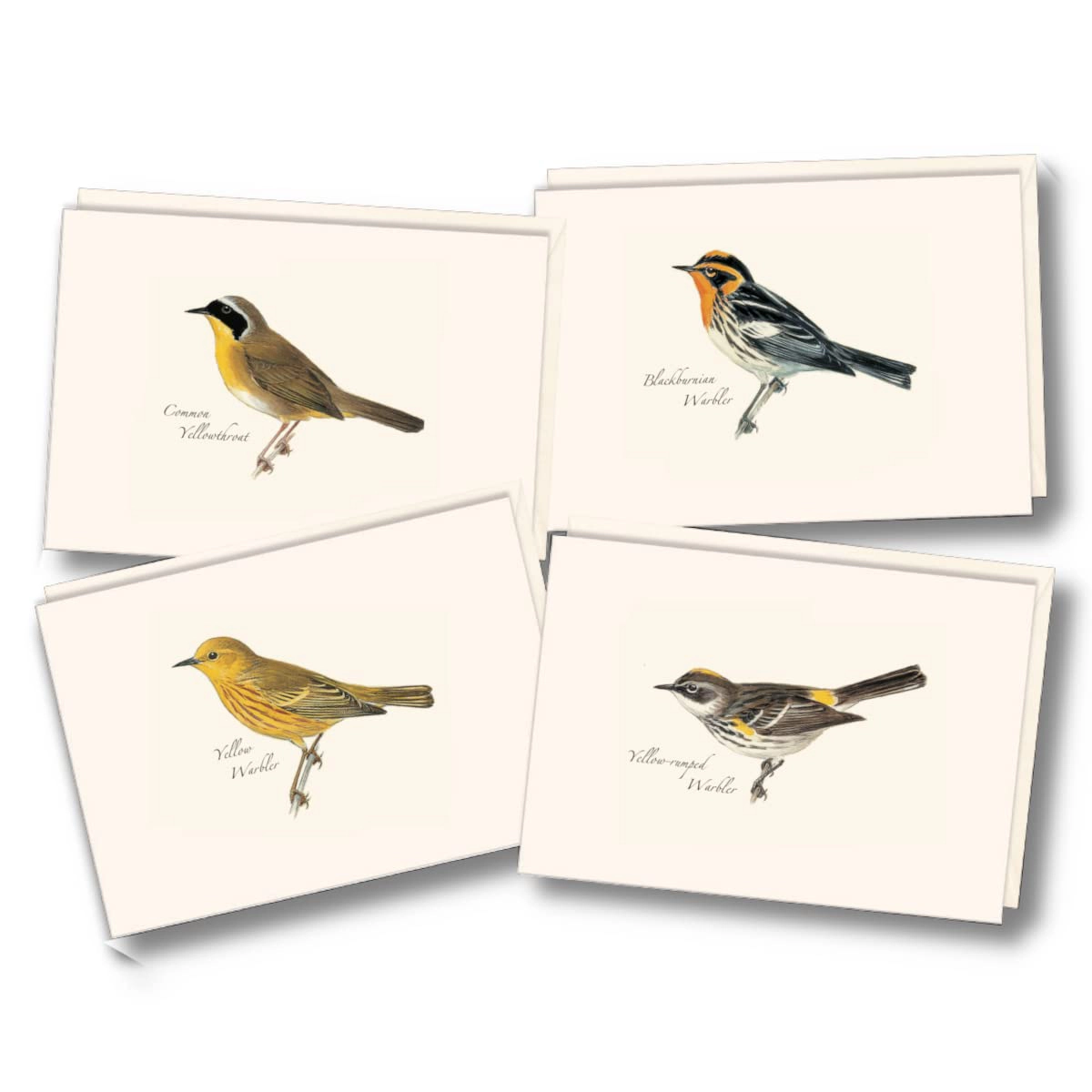 Earth Sky + Water Peterson Warbler Notecard Set - 8 Blank Recycled Cards with Envelopes, 3.5 x 5 in