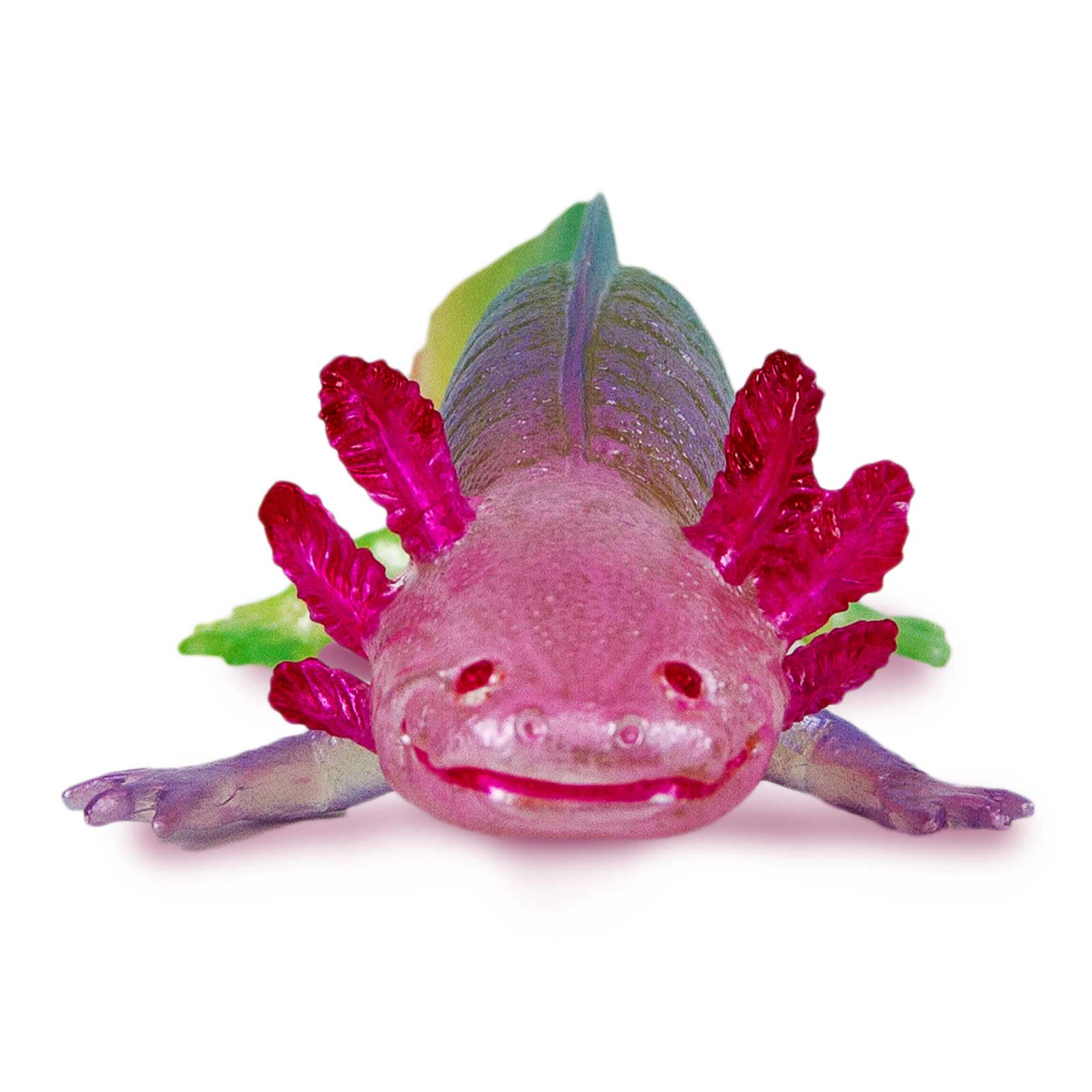 Safari Ltd. - Rainbow Axolotl Kids Toy Figure