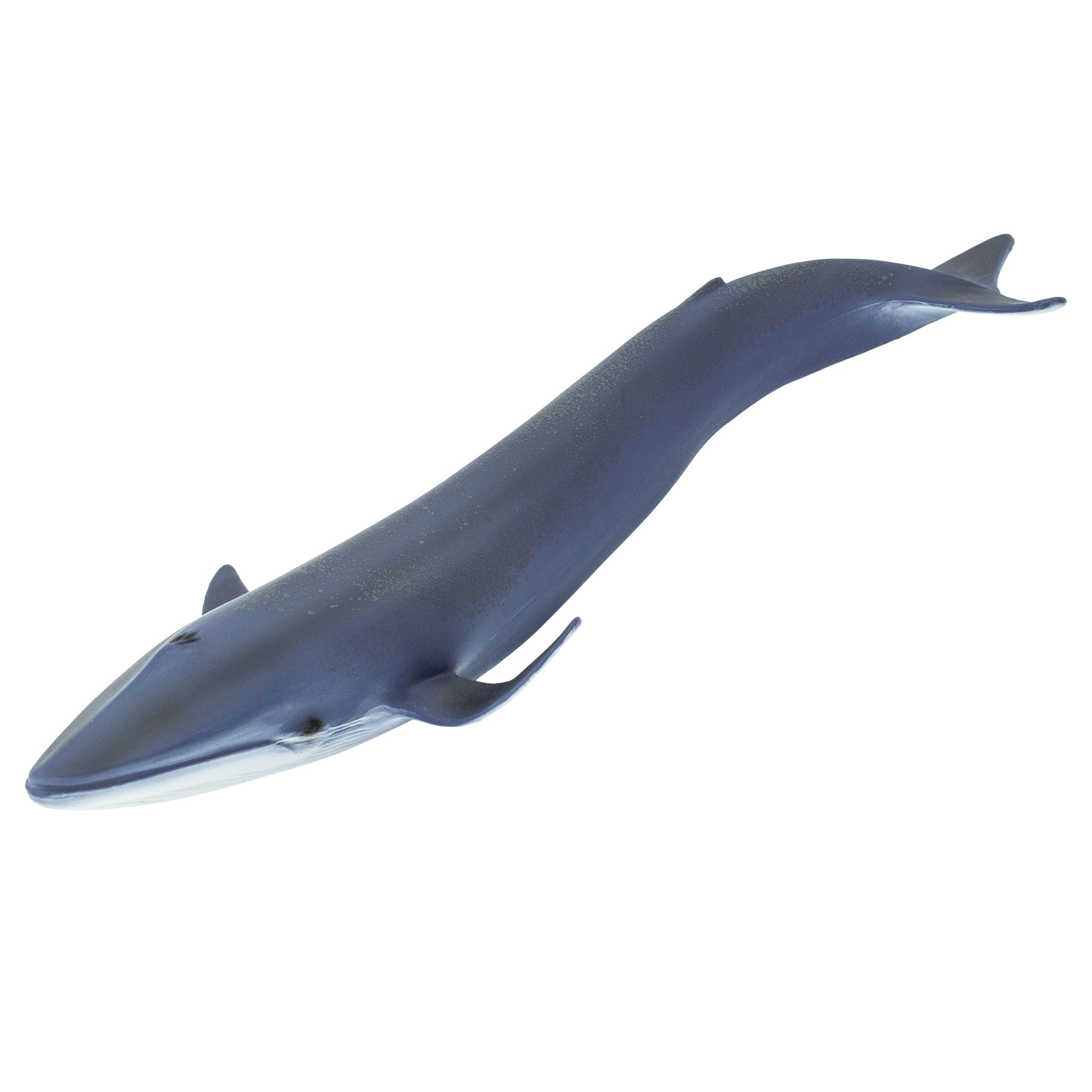 Safari Ltd. - Blue Whale Kids Toy Figure