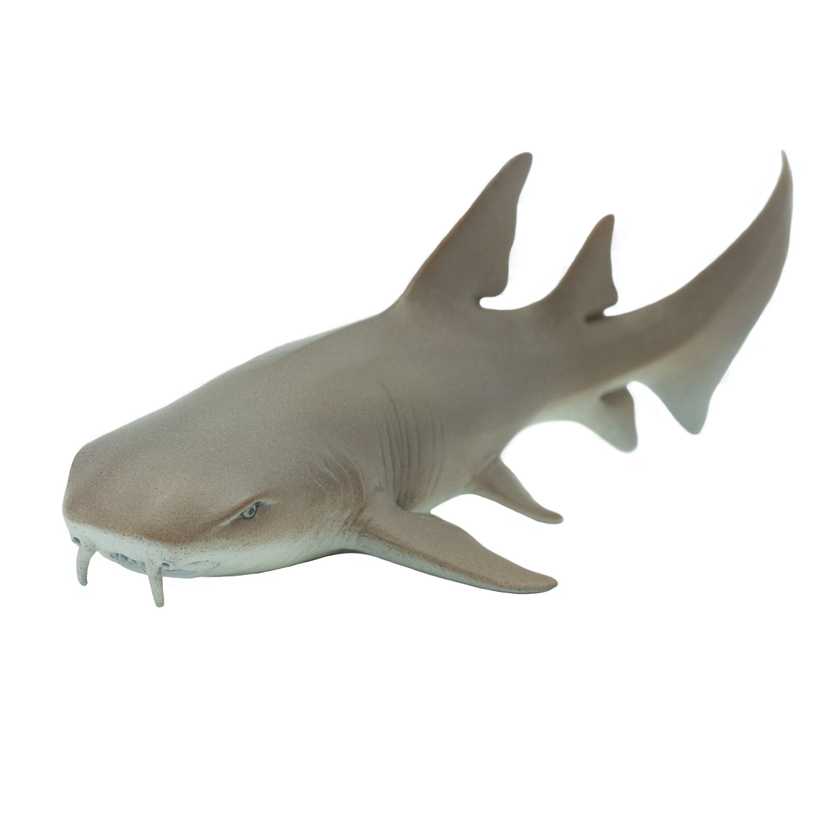 Safari Ltd. - Nurse Shark Kids Toy Figure