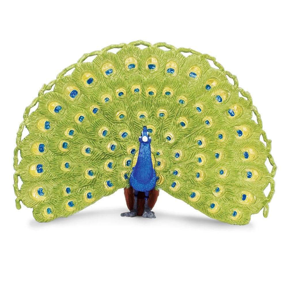 Safari Ltd. - Peacock Kids Toy Figure