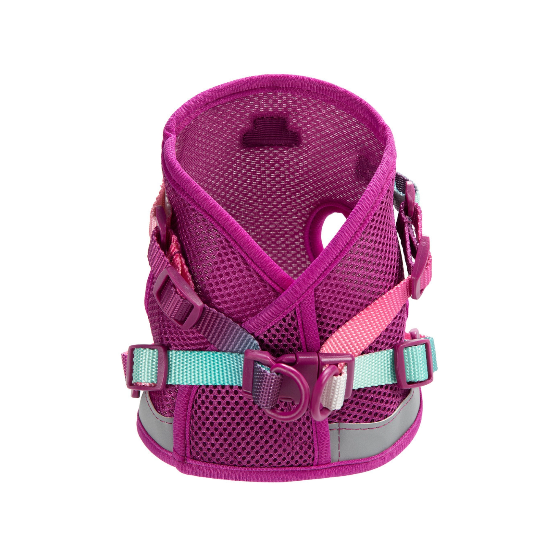 Pink Papyrus Stasia Cat Harness and Leash Set