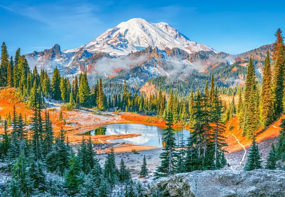 CASTORLAND 1000 Piece Jigsaw Puzzles, Mount Rainier National Park, USA, Mountains, C-105496-2