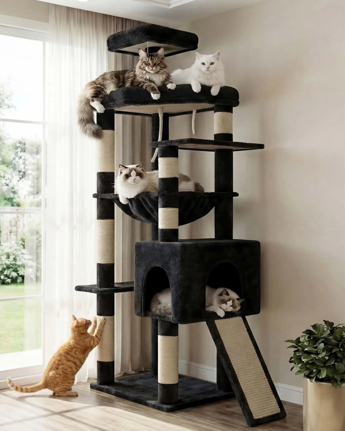 Heybly cat tree with a wide, heavy-duty base