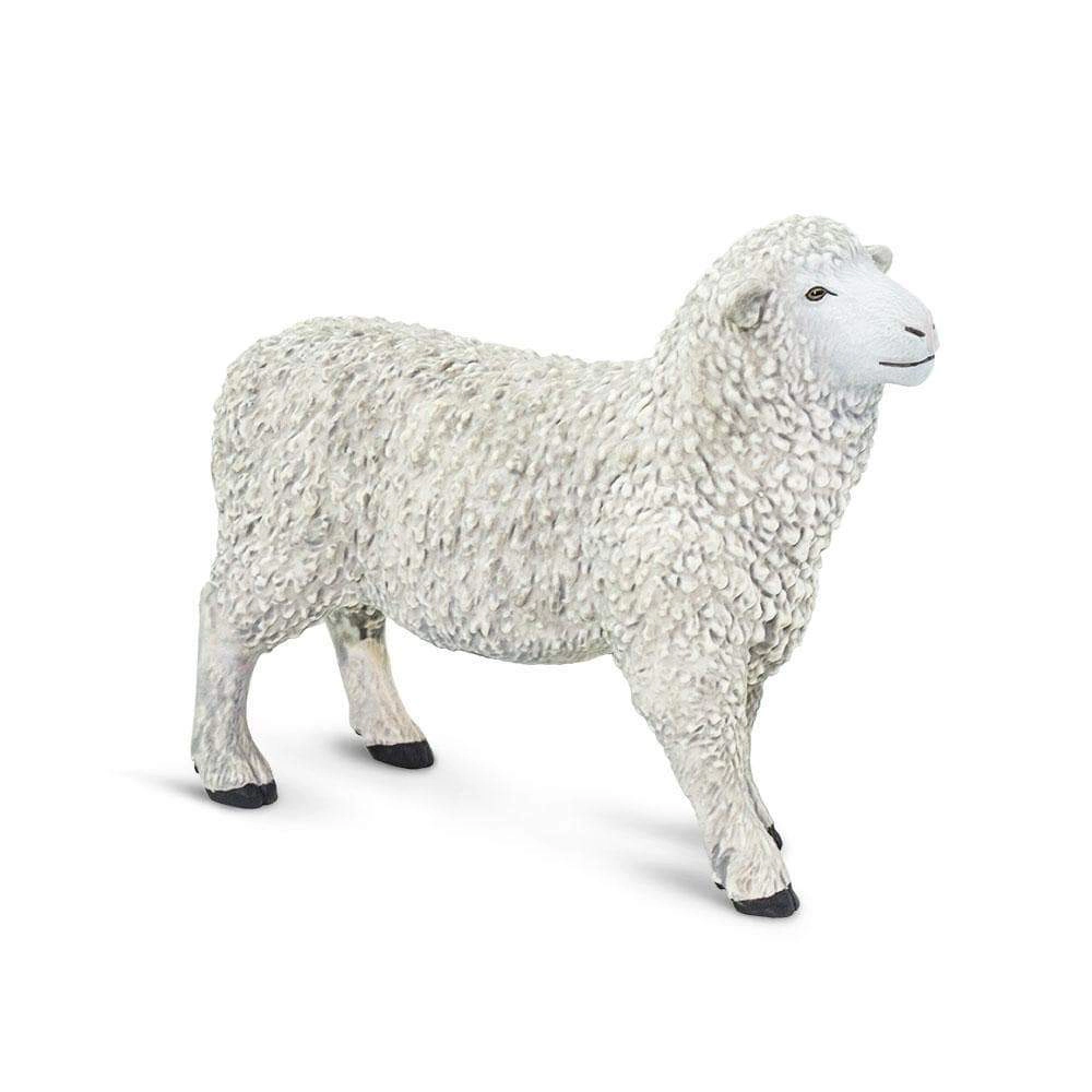 Safari Ltd. - Sheep Kids Toy Figure