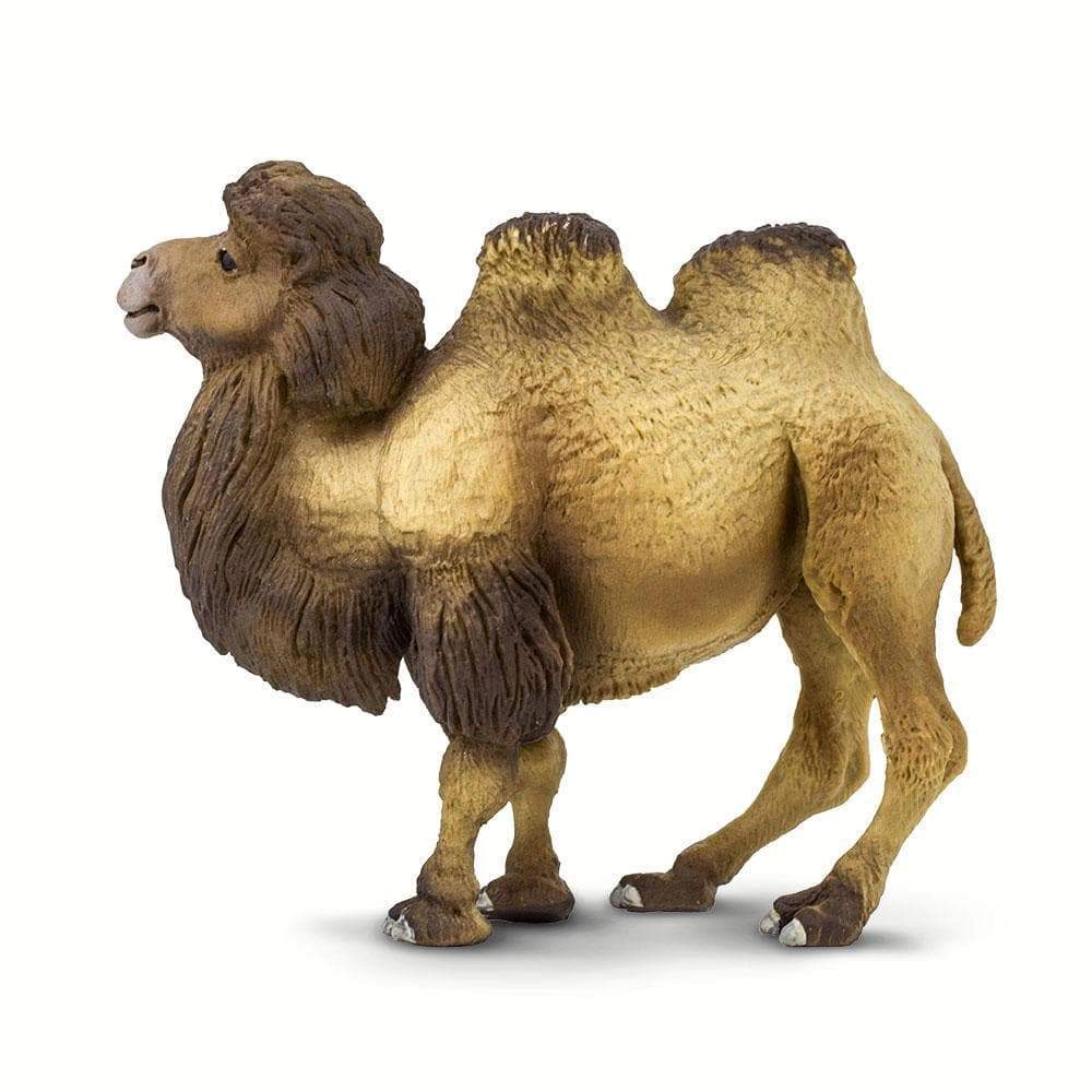 Safari Ltd. - Bactrian Camel Kids Toy Figure