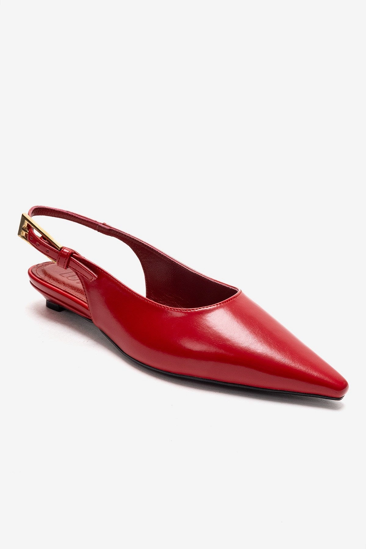 Prologue Shoes Womens Jenna Slingback Pointed Toe Pump