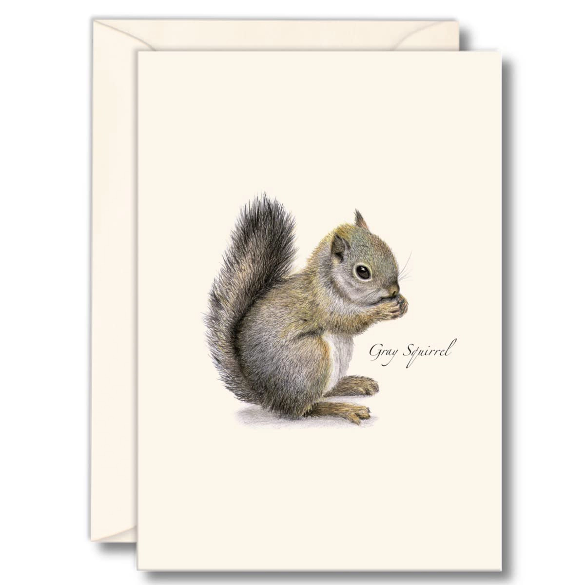 Earth Sky + Water Gray Squirrel Notecard Set - 8 Blank 3.5 x 5 in Cards with Envelopes