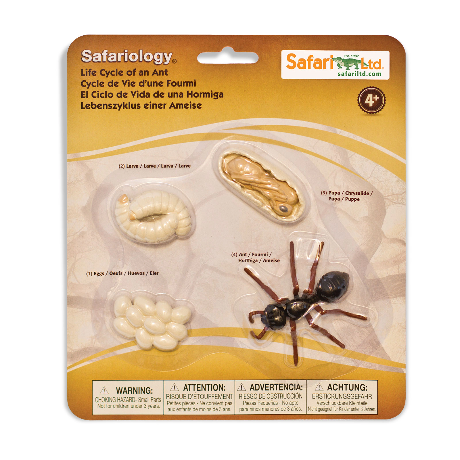 Safari Ltd. - Life Cycle of an Ant - Miniature Lifecycle Collection Toy