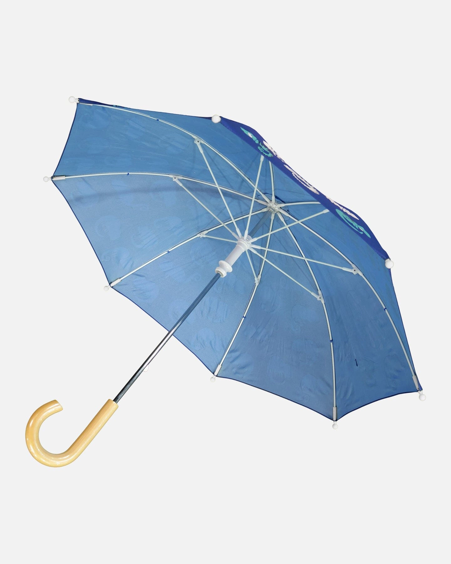 Deux par Deux Boys Color-Changing Umbrella Chameleon Print