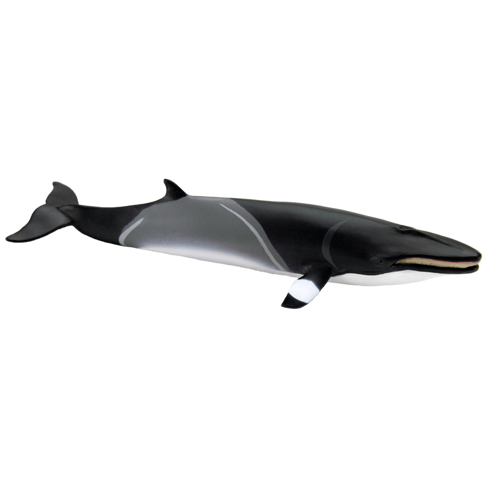 Safari Ltd. - Minke Whale Kids Toy Figure