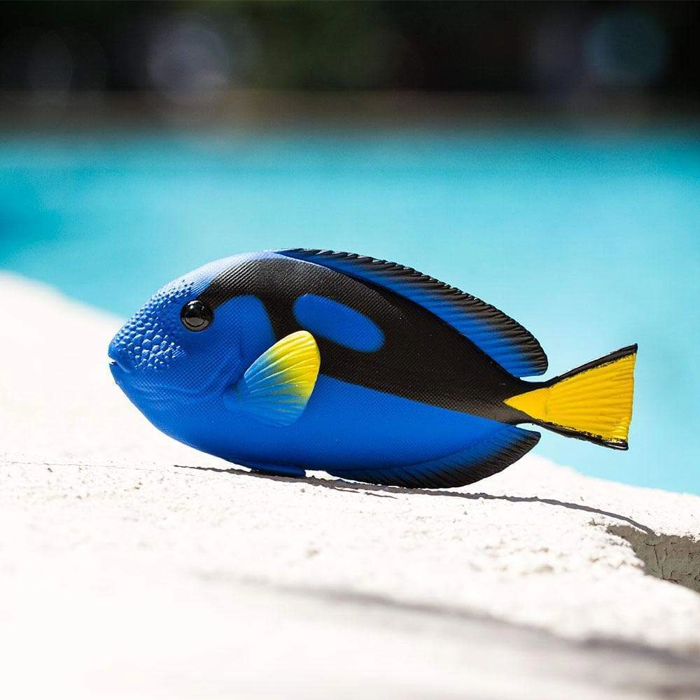 Safari Ltd. - Blue Tang Kids Toy Figure