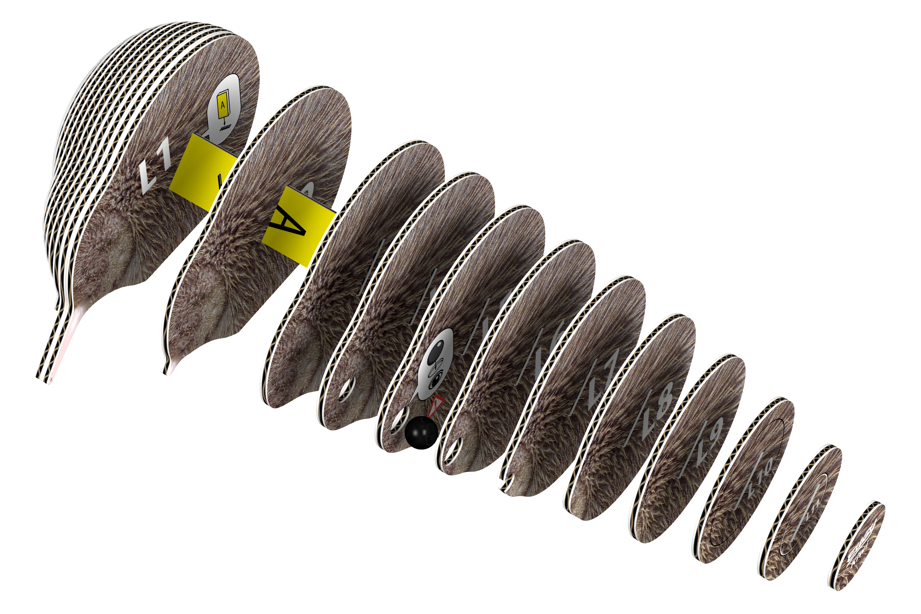 EUGY Kiwi 3D Puzzle - contains 24 puzzle pieces