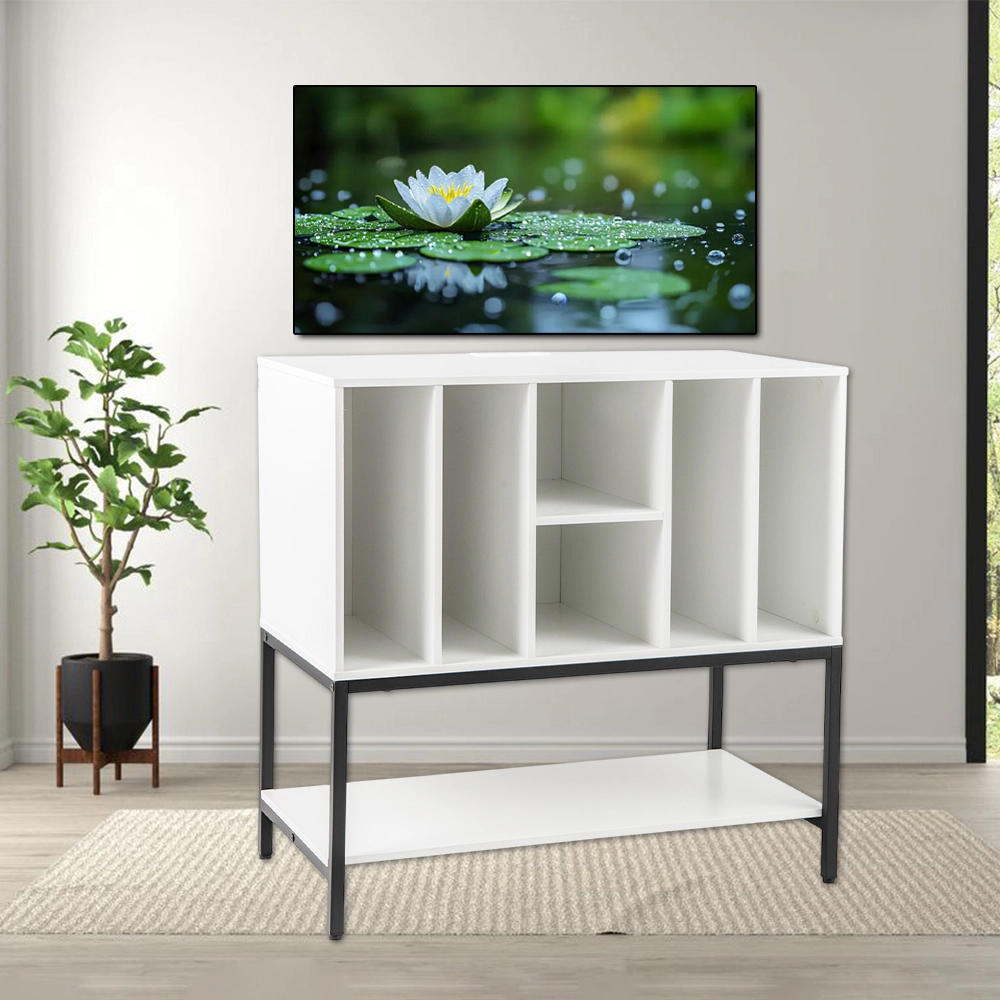 Hivvago Vinyl Record Storage Stand with Electrical Charging Station and Steel Frame