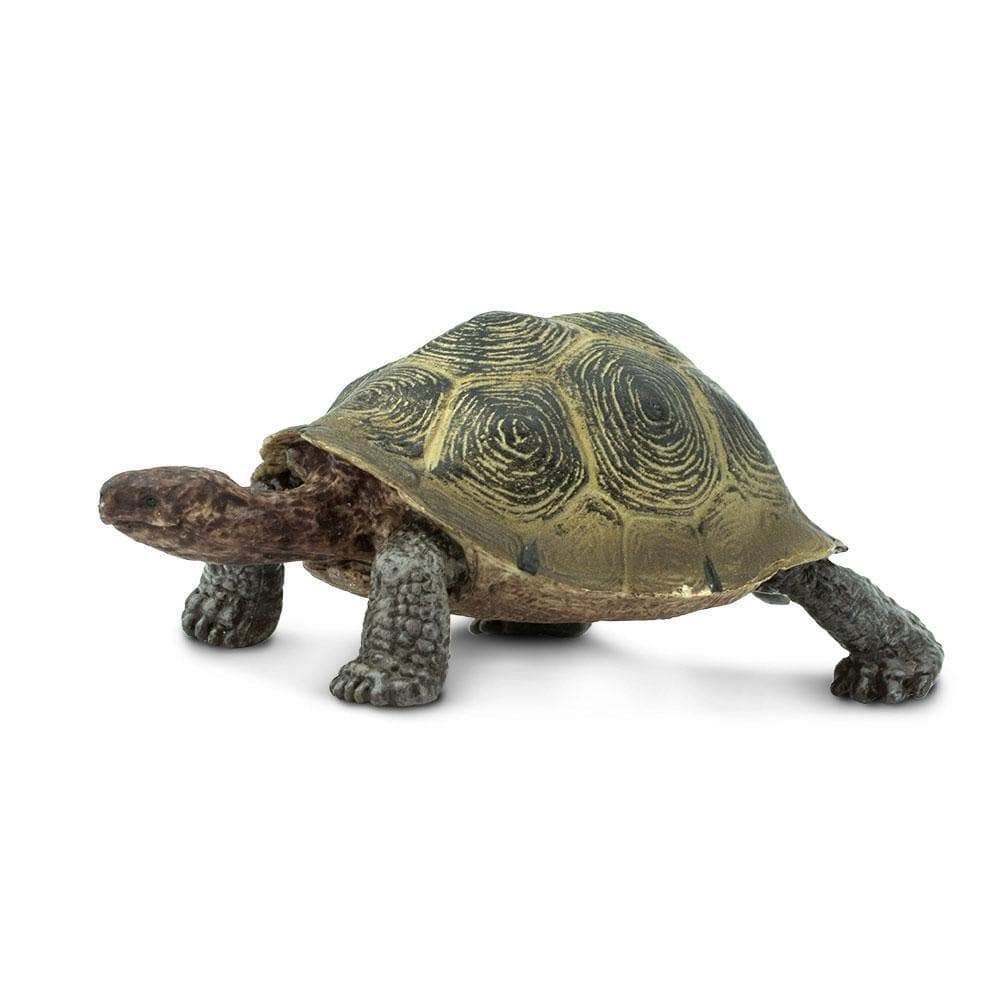 Safari Ltd. - Desert Tortoise Kids Toy Figure