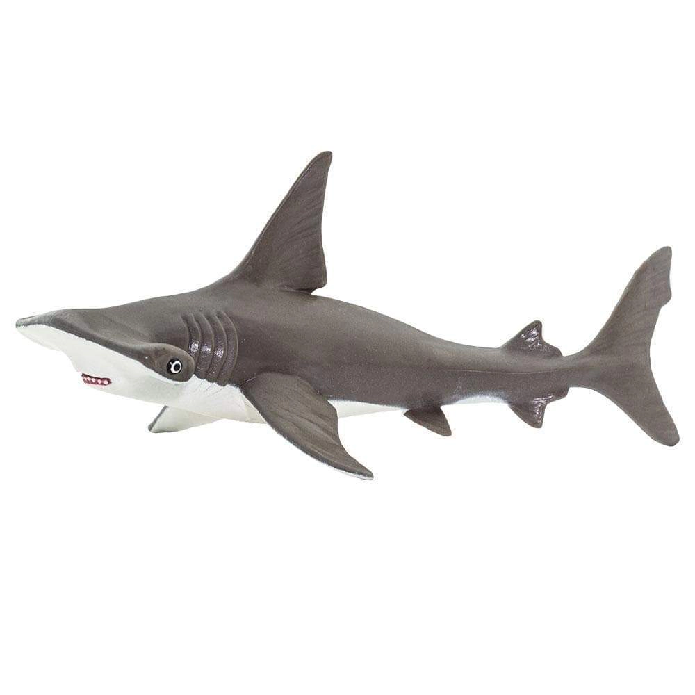 Safari Ltd. - Hammerhead Shark Baby Kids Toy Figure