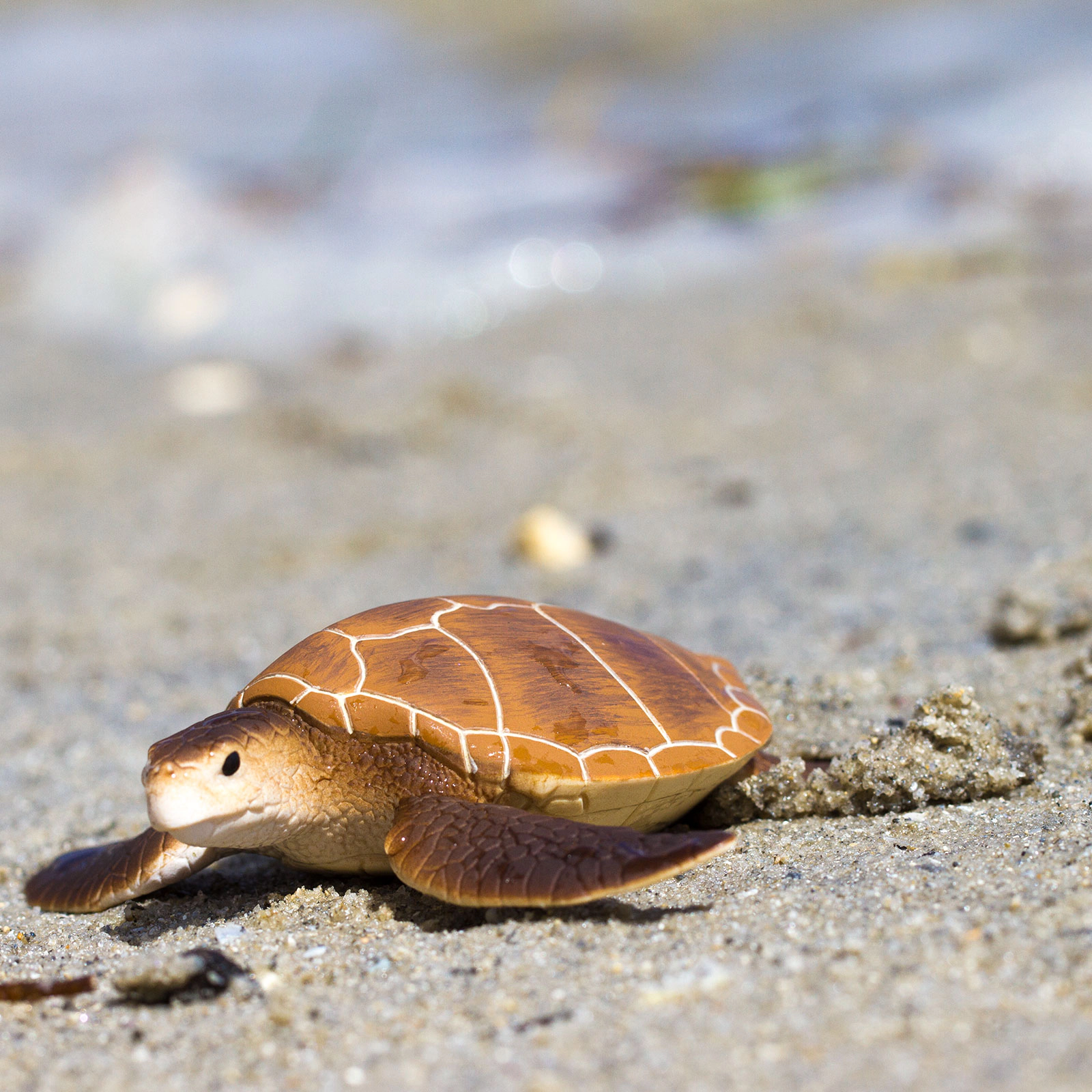 Safari Ltd. - Green Sea Turtle Kids Toy Figure