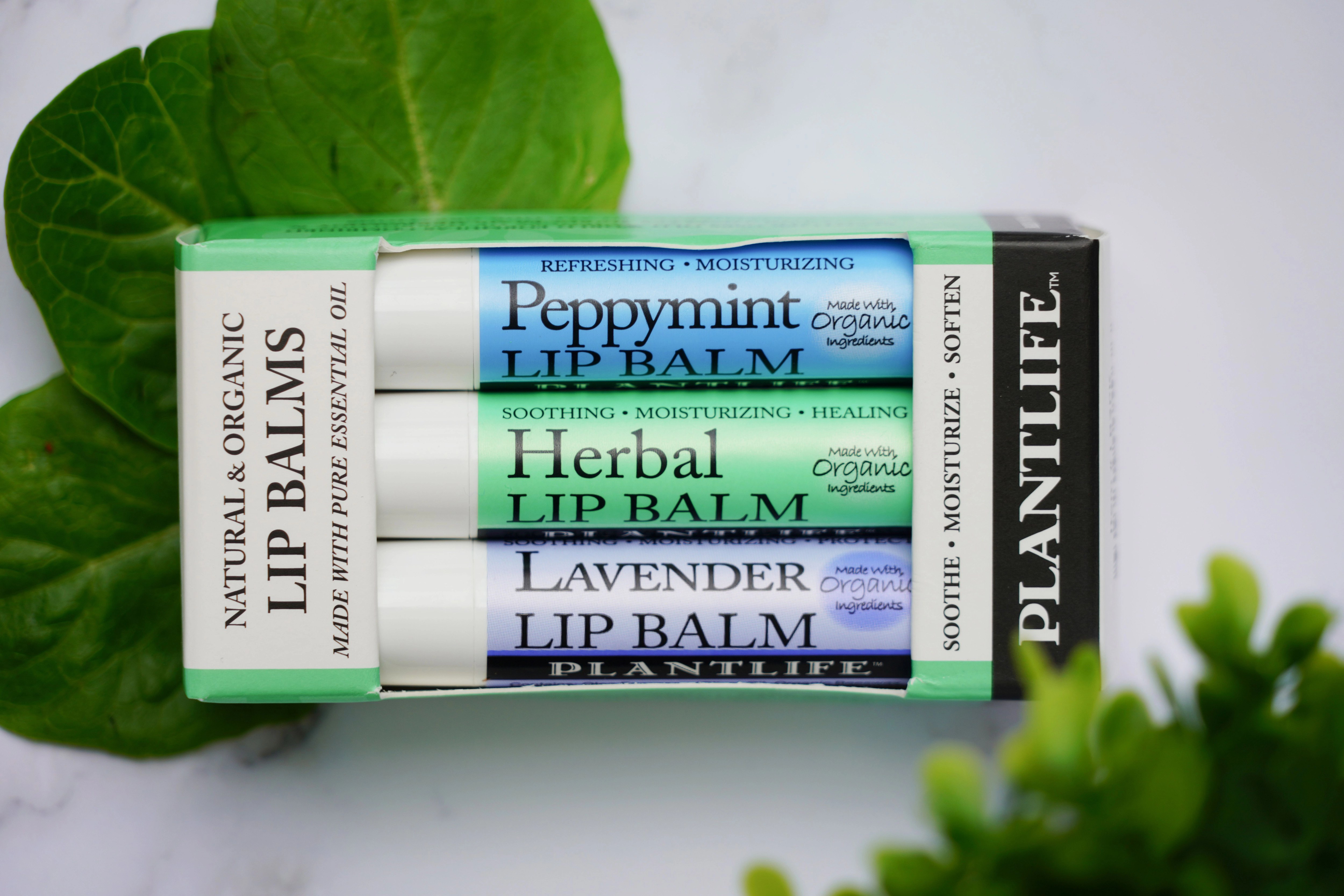 Plantlife Assorted Lip Balm 3-Pack