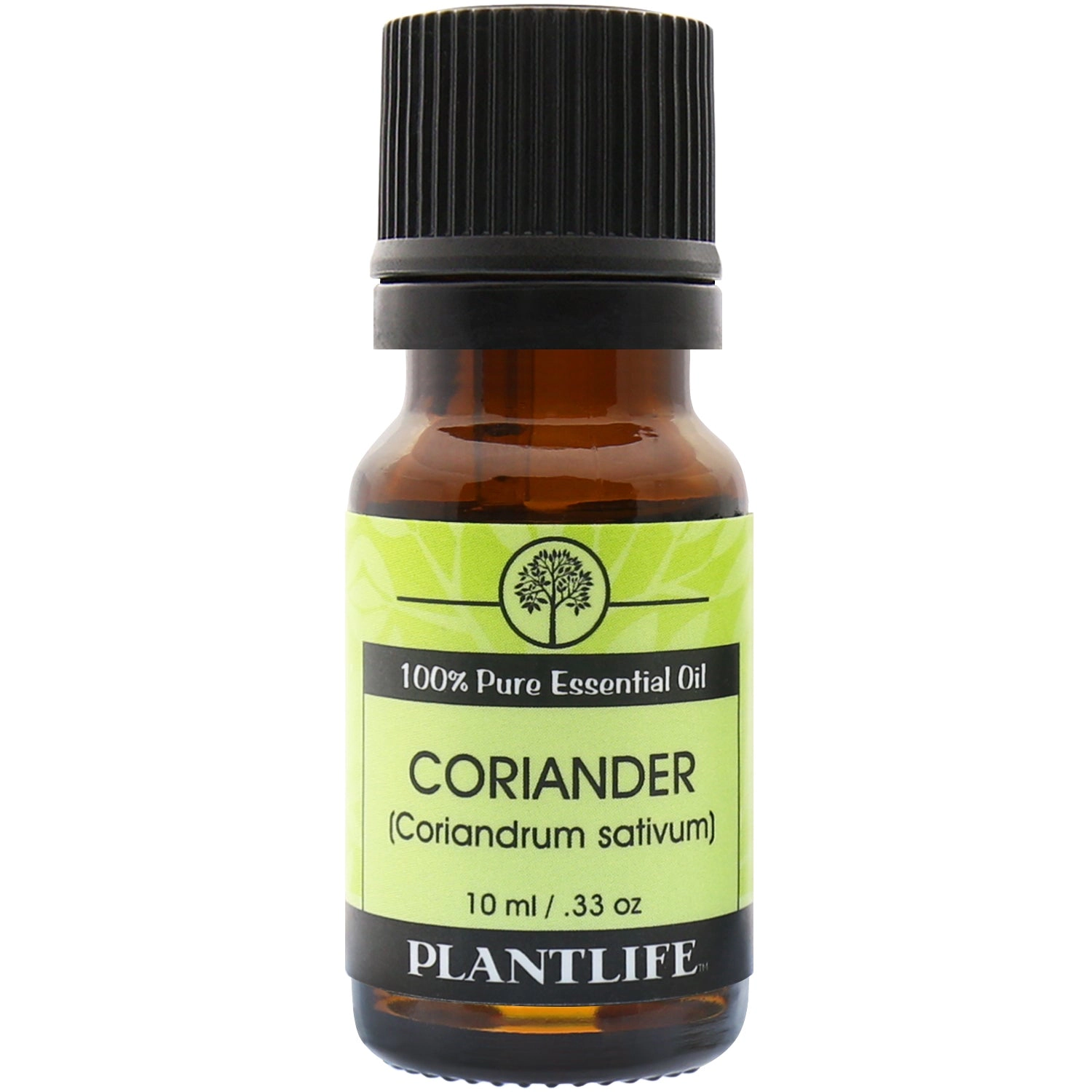 Plantlife Coriander Essential Oil