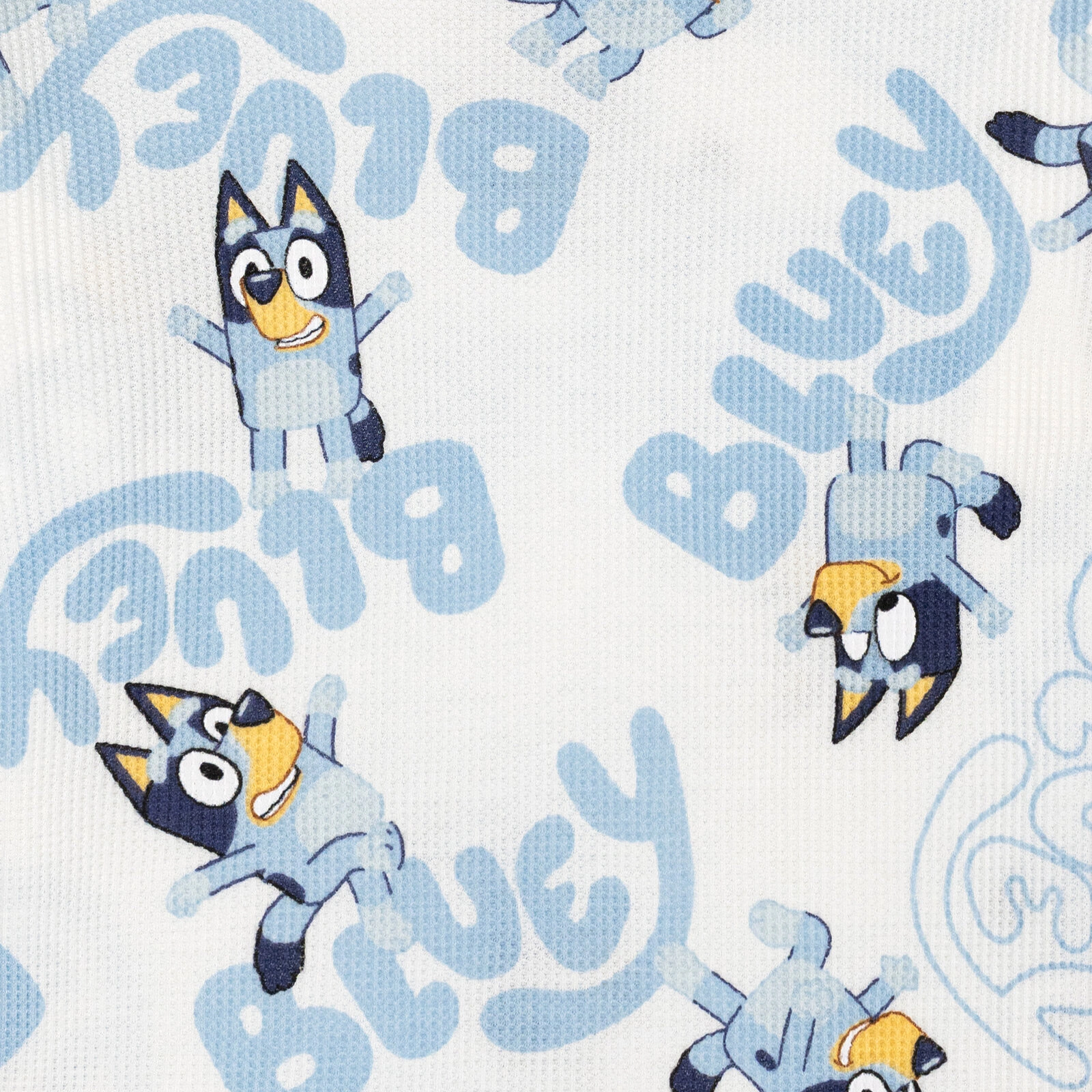 Bluey Boys' 2-Piece T-Shirt and Shorts Set
