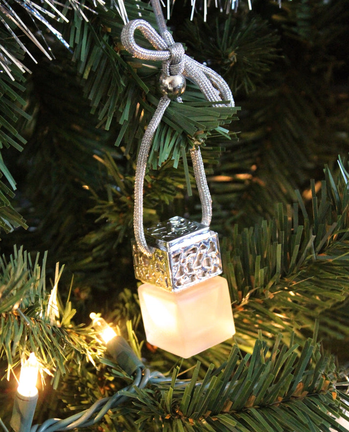 Plantlife Silver Hanging Passive Diffuser