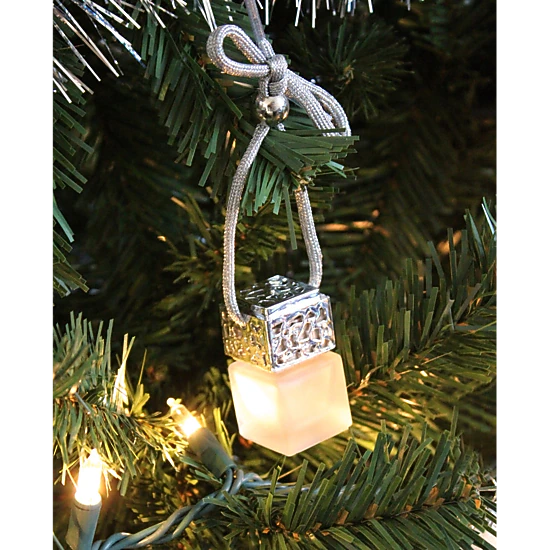 Plantlife Silver Hanging Passive Diffuser