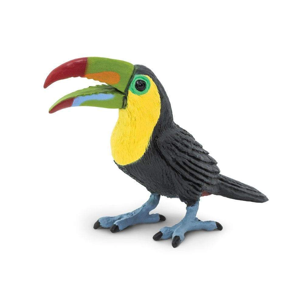 Safari Ltd. - Toucan Kids Toy Figure