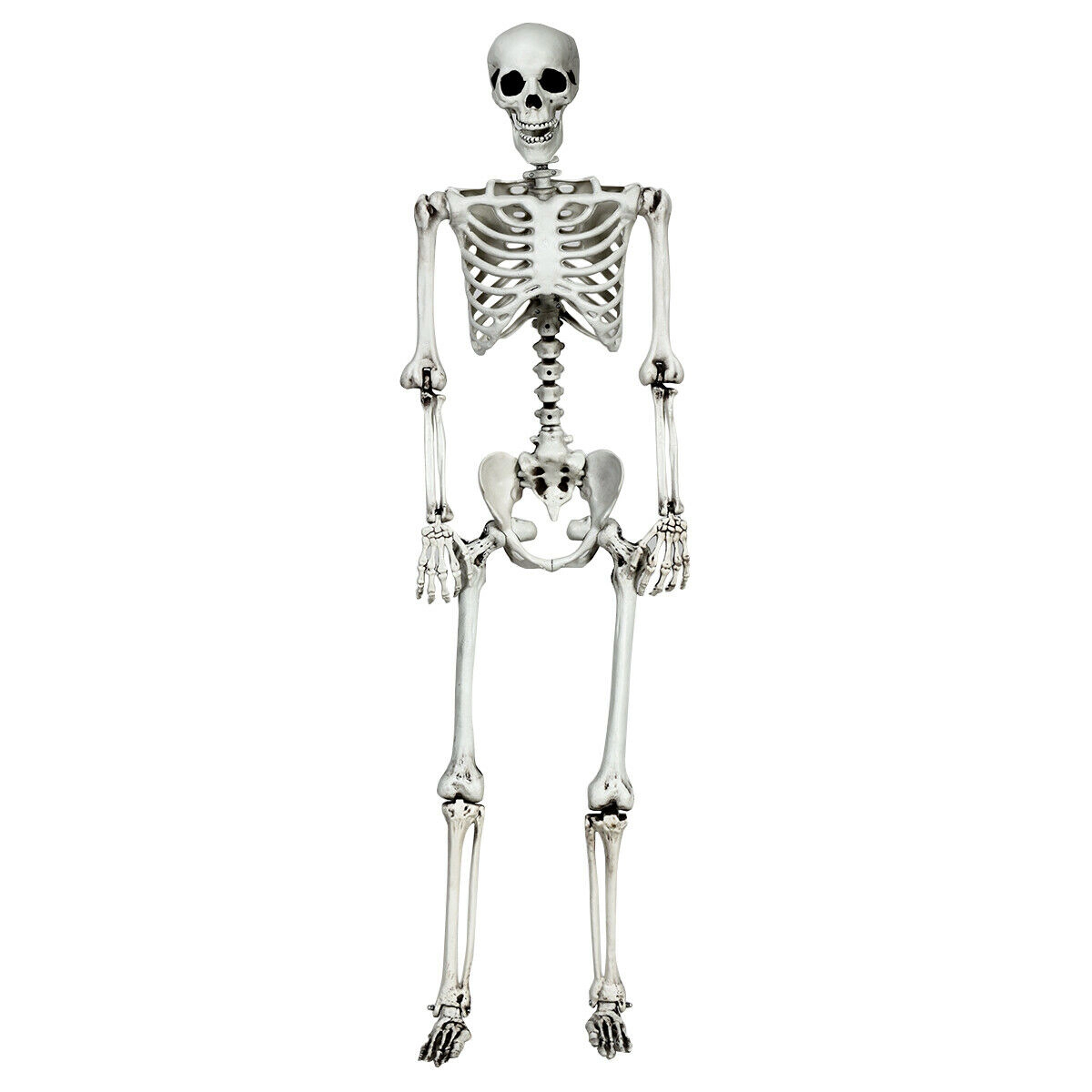 SUGIFT 5.4-ft Poseable Joints Hanging Rope Full Body Life Size Halloween Skeleton Prop Decoration 4-lb White