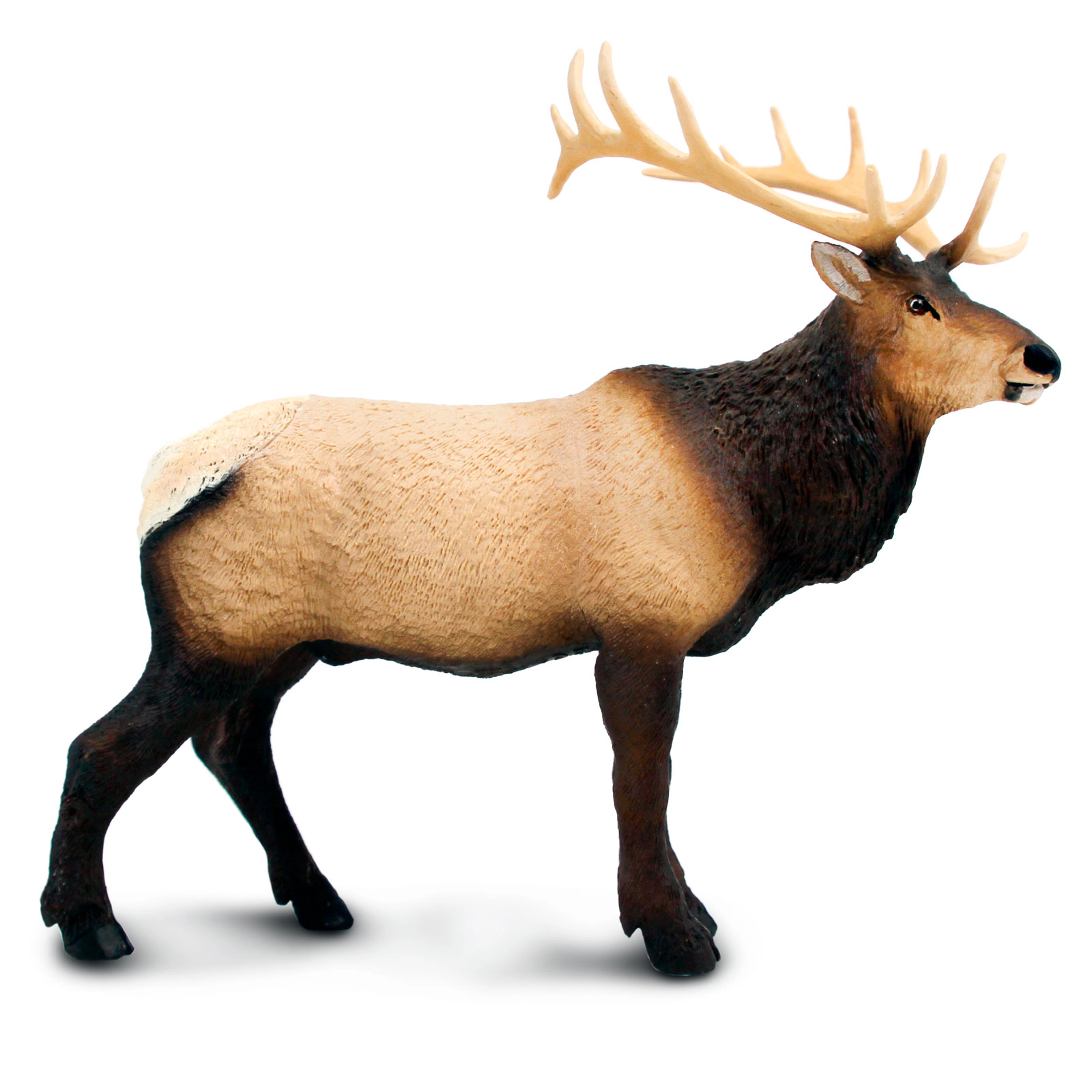 Safari Ltd. - Elk Kids Toy Figure