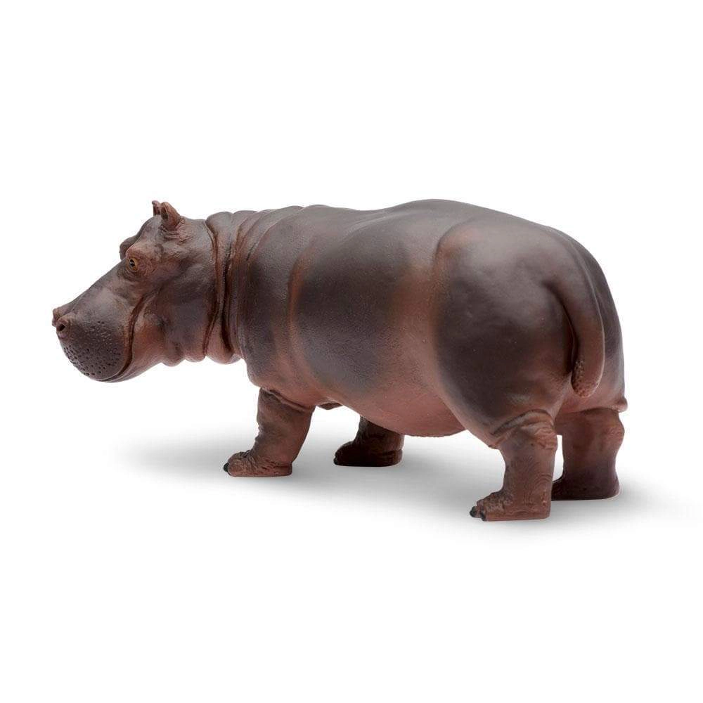 Safari Ltd. - Hippopotamus Kids Toy Figure