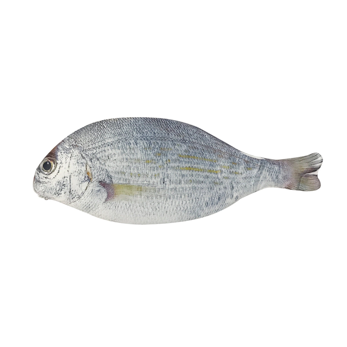 Wrapables Fish-Shaped Zipper Pencil Pouch, Silver Fish