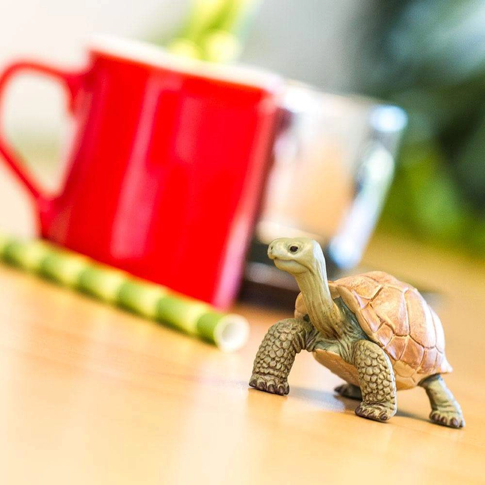 Safari Ltd. - Giant Tortoise Kids Toy Figure