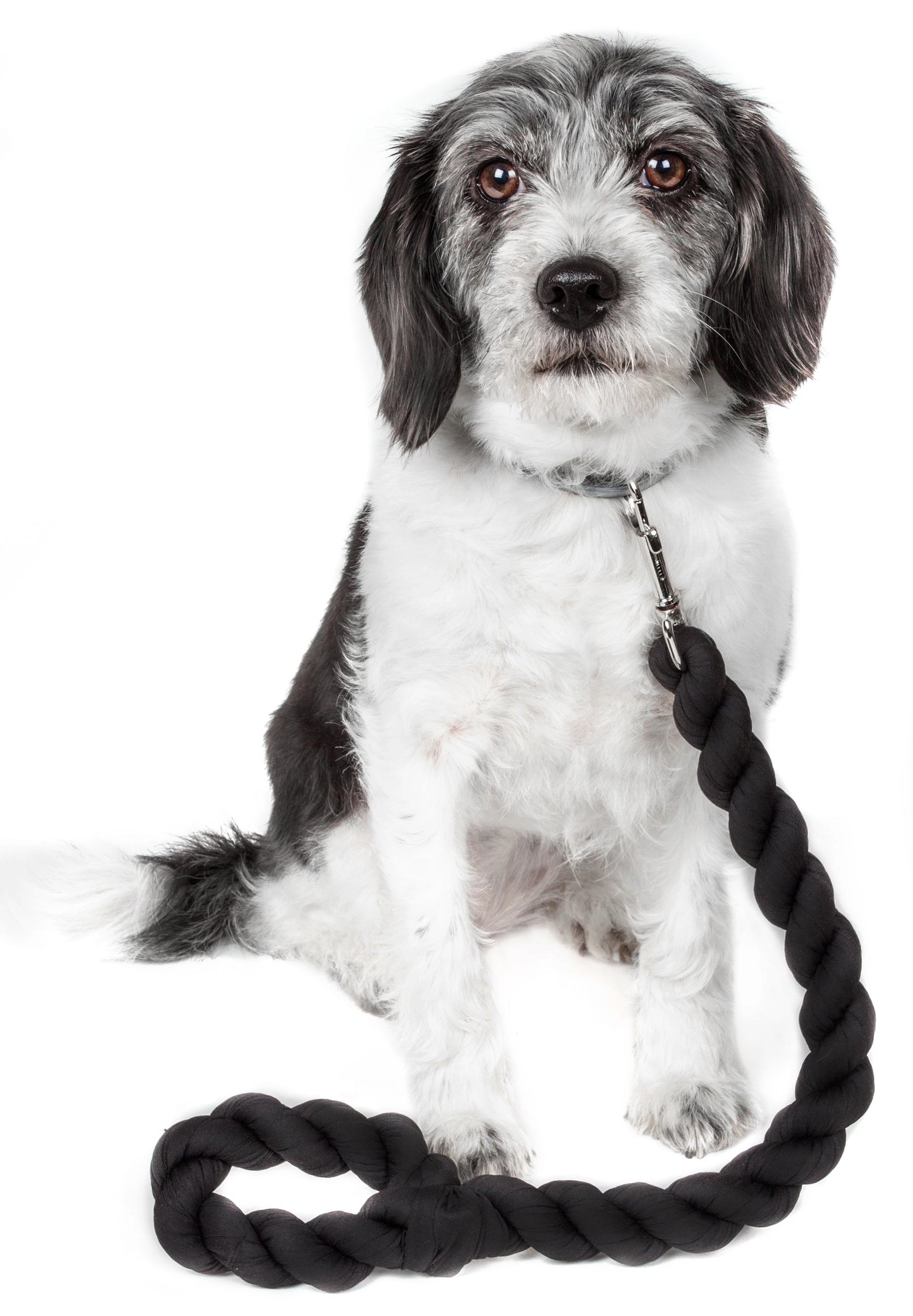 Pet Life ® Tough-Tugger Industrial-Strength Shock Absorption Woven Dog Leash