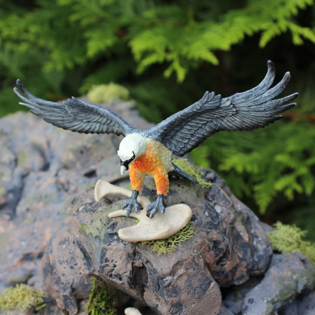 Safari Ltd. - Bearded Vulture Kids Toy Figure