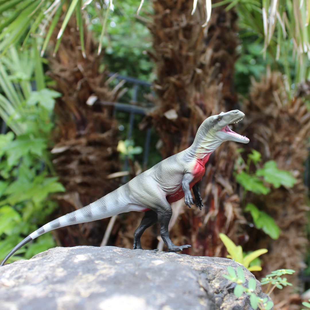 Safari Ltd. - Megalosaurus Kids Prehistoric/Dinosaur Toy Figure