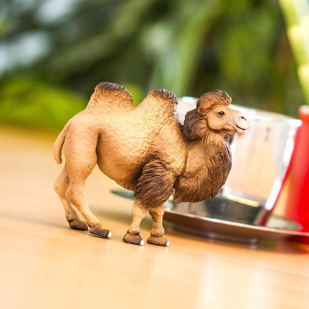 Safari Ltd. - Bactrian Camel Kids Toy Figure