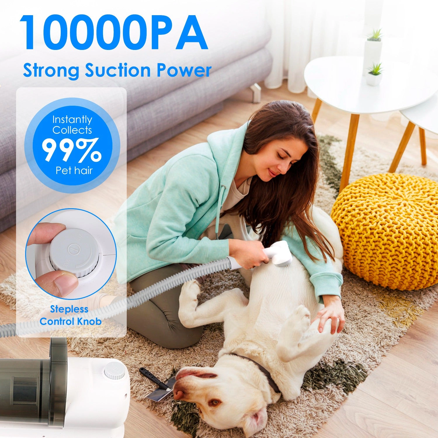 GBruno 7-Tool Pet Grooming Vacuum Kit