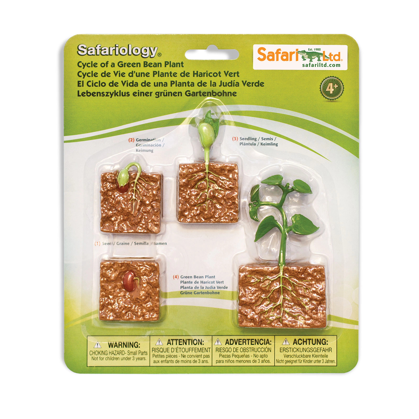 Safari Ltd. - Life Cycle of a Green Bean Plant - Miniature Lifecycle Collection