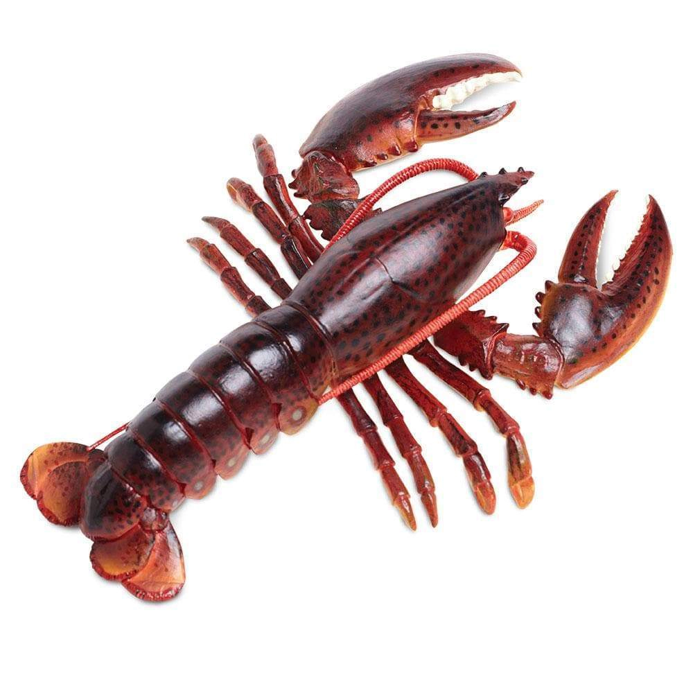 Safari Ltd. - Maine Lobster Kids Toy Figure
