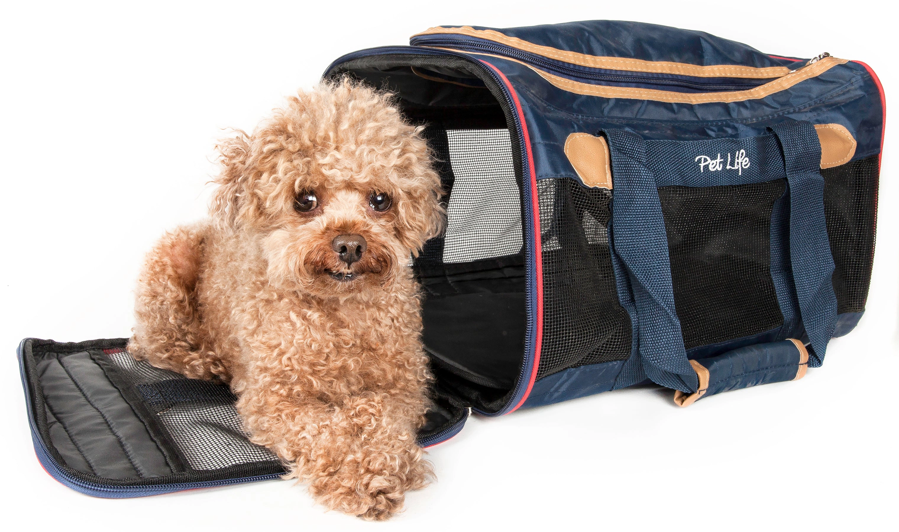Pet Life ® Airline Approved Aero-Zoom Lightweight Wire Framed Collapsible Pet Carrier