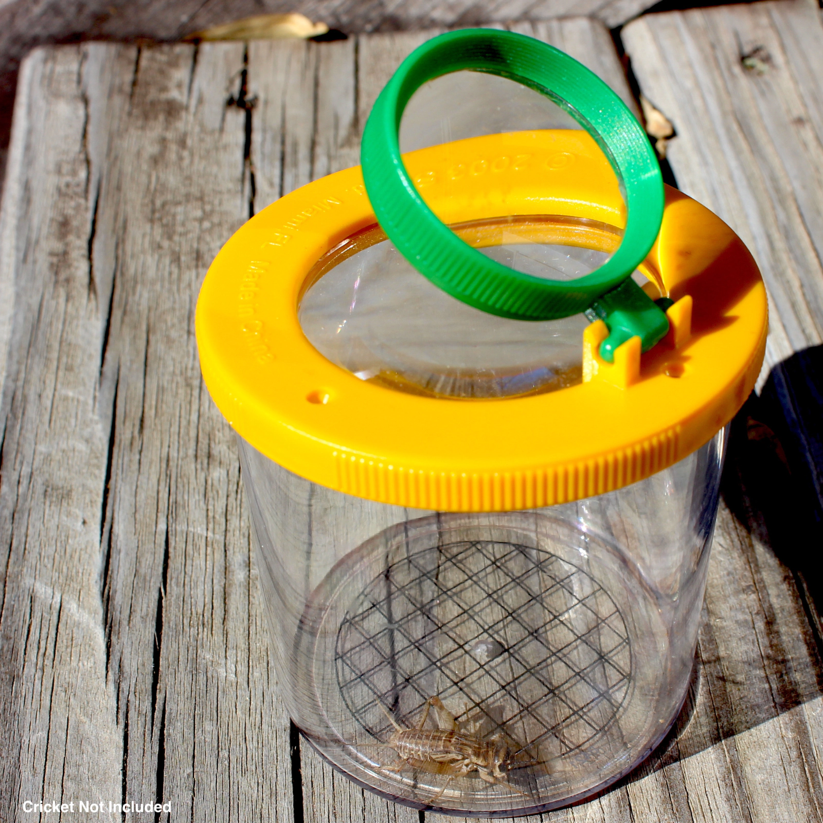 Safari Ltd. - World's Best Bug Jar - Insect Collector for Kids