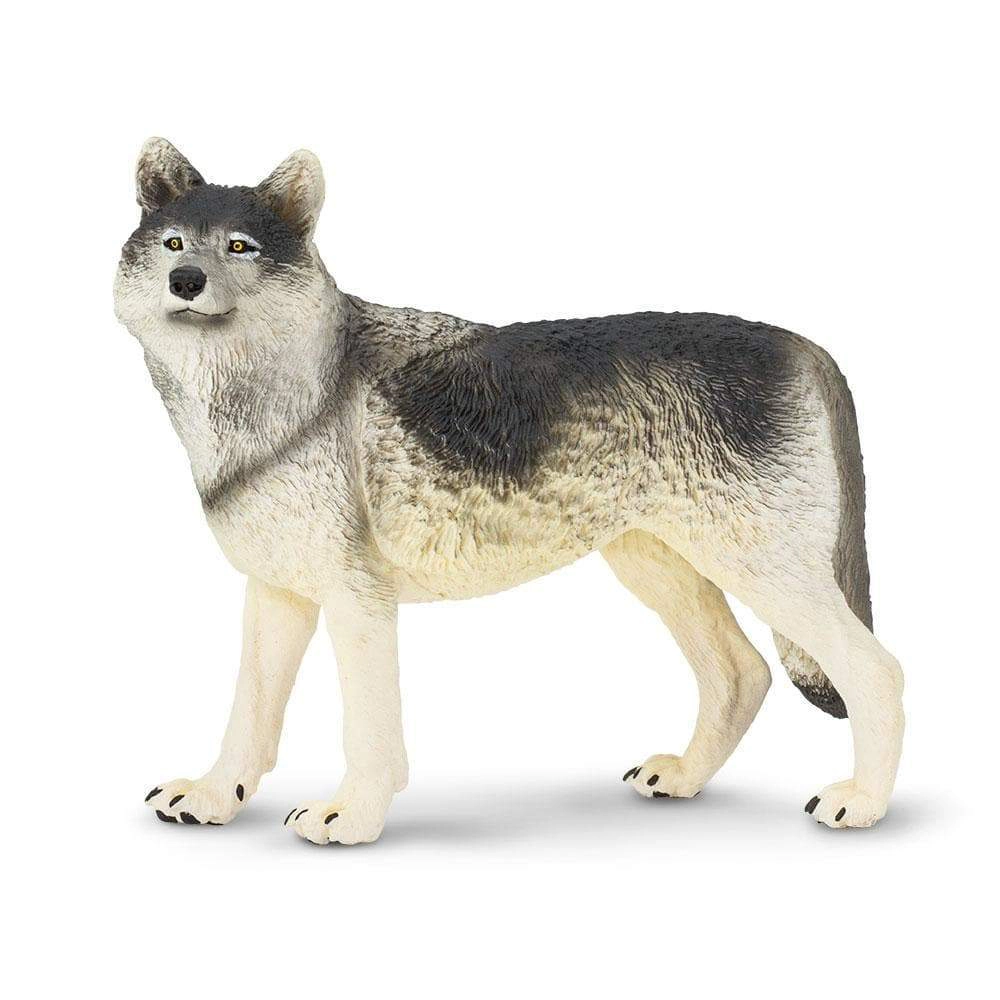 Safari Ltd. - Gray Wolf Kids Toy Figure
