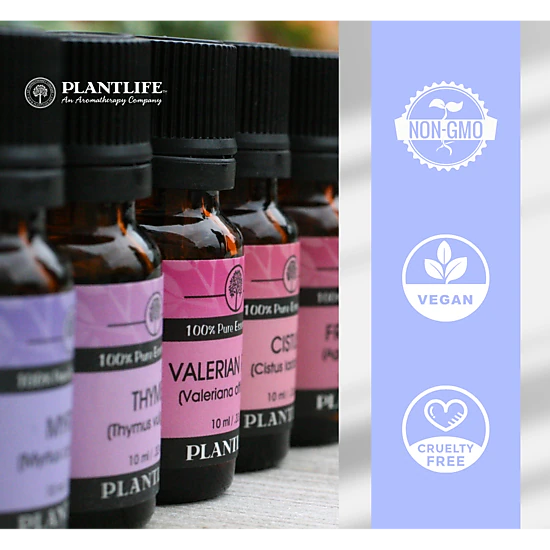 Plantlife Parsley Herb Essential Oil