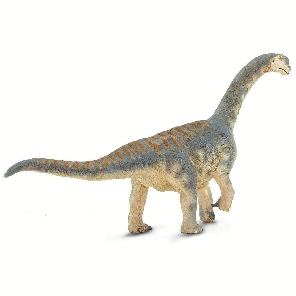 Safari Ltd. - Camarasaurus Kids Prehistoric/Dinosaur Toy Figure