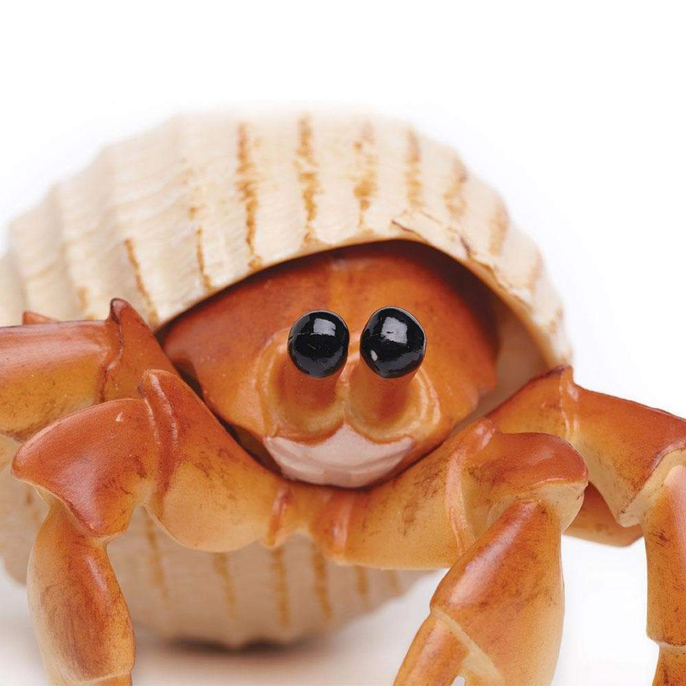 Safari Ltd. - Hermit Crab Kids Toy Figure