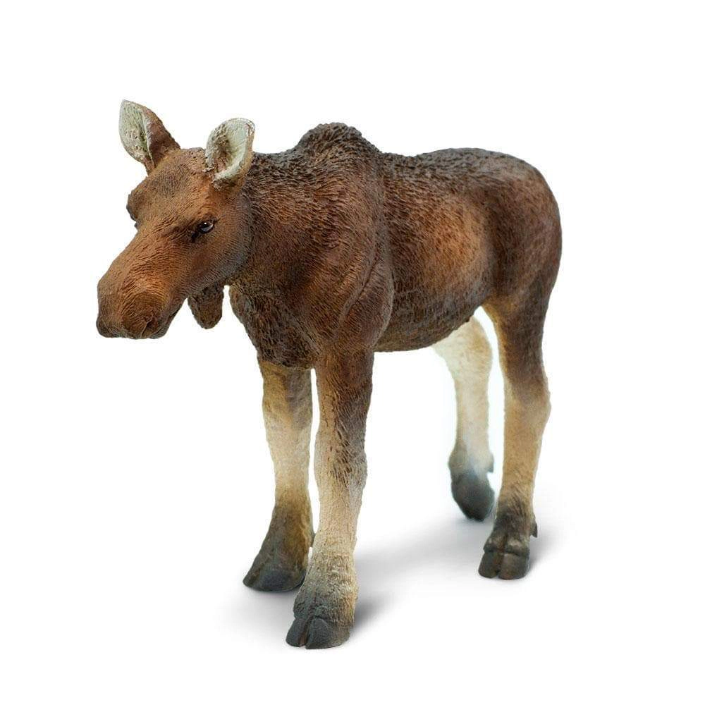 Safari Ltd. - Cow Moose Kids Toy Figure