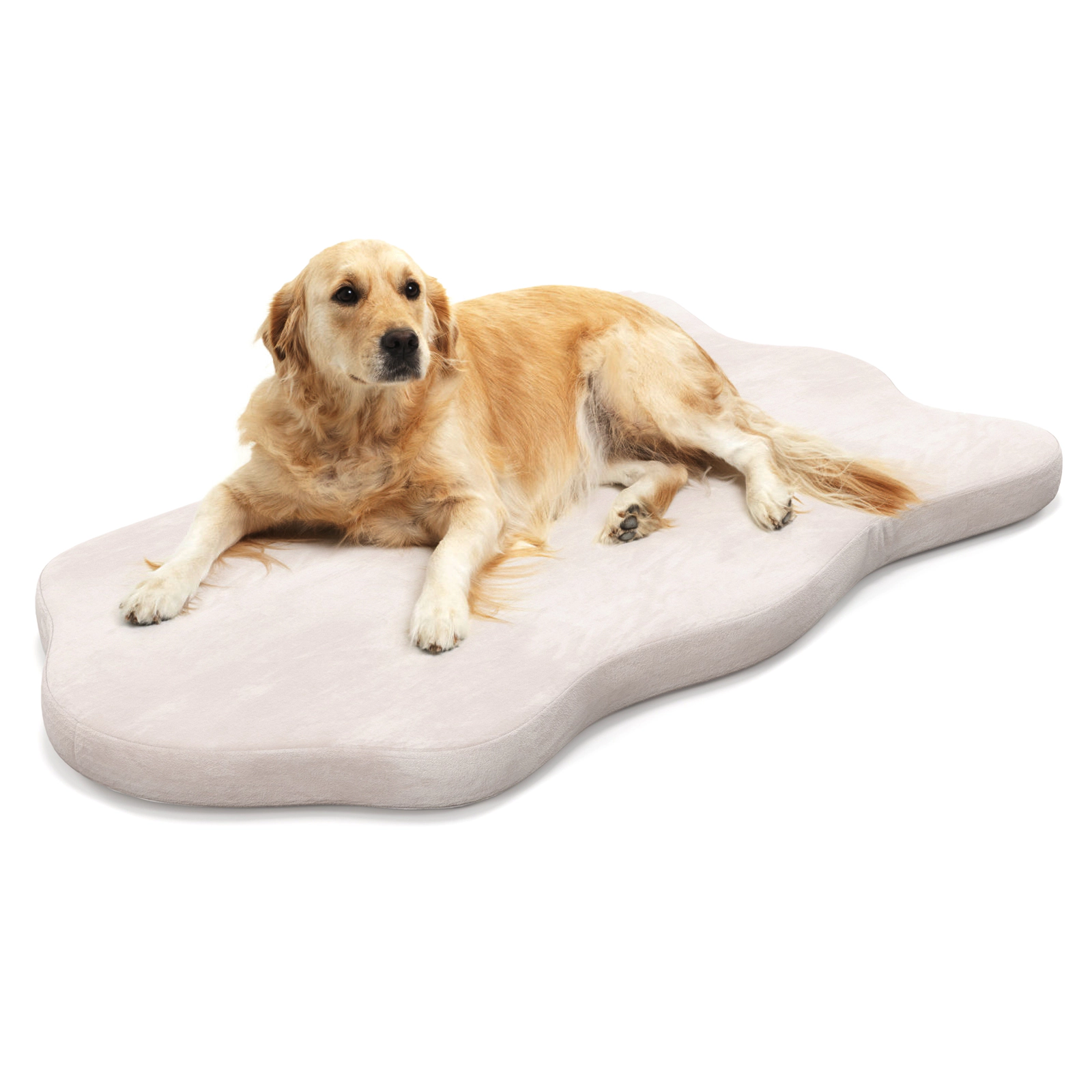 SUGIFT 43 x 26-in Beige Egg Crate Memory Foam Orthopedic Large Dog Bed Mattress with Waterproof Washable Cover
