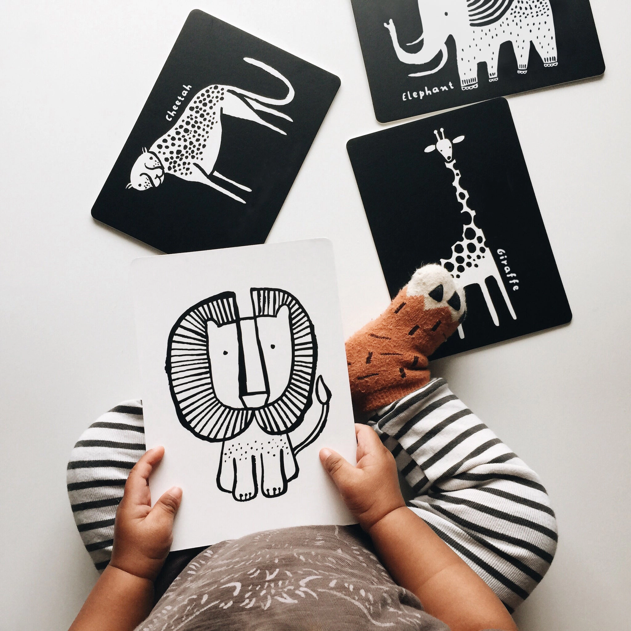 Wee Gallery Art Cards for Baby - Safari Collection