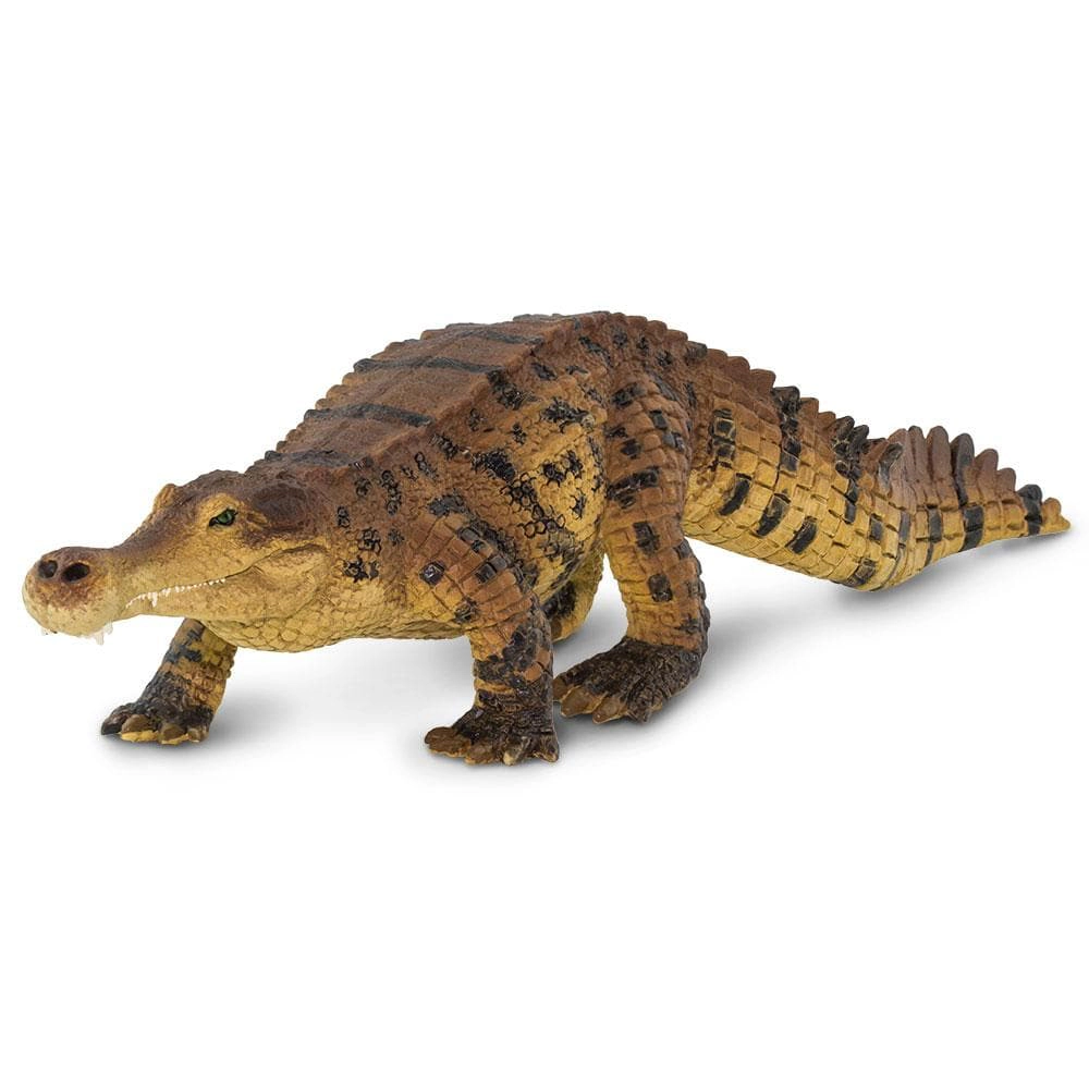 Safari Ltd. - Sarcosuchus Kids Prehistoric/Dinosaur Toy Figure